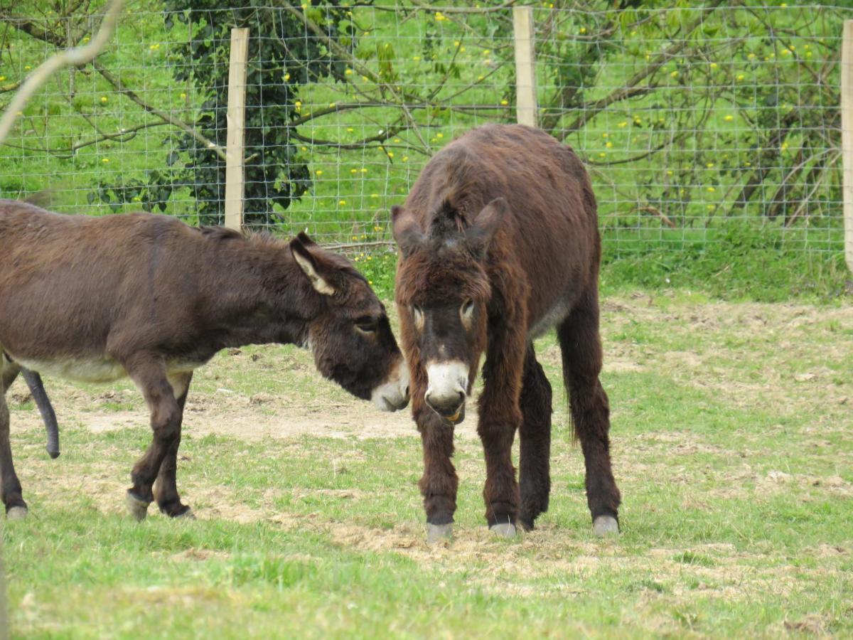 Domaine Des Fees Leilighet La Gaubretiere Eksteriør bilde