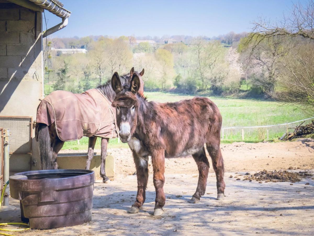 Domaine Des Fees Leilighet La Gaubretiere Eksteriør bilde